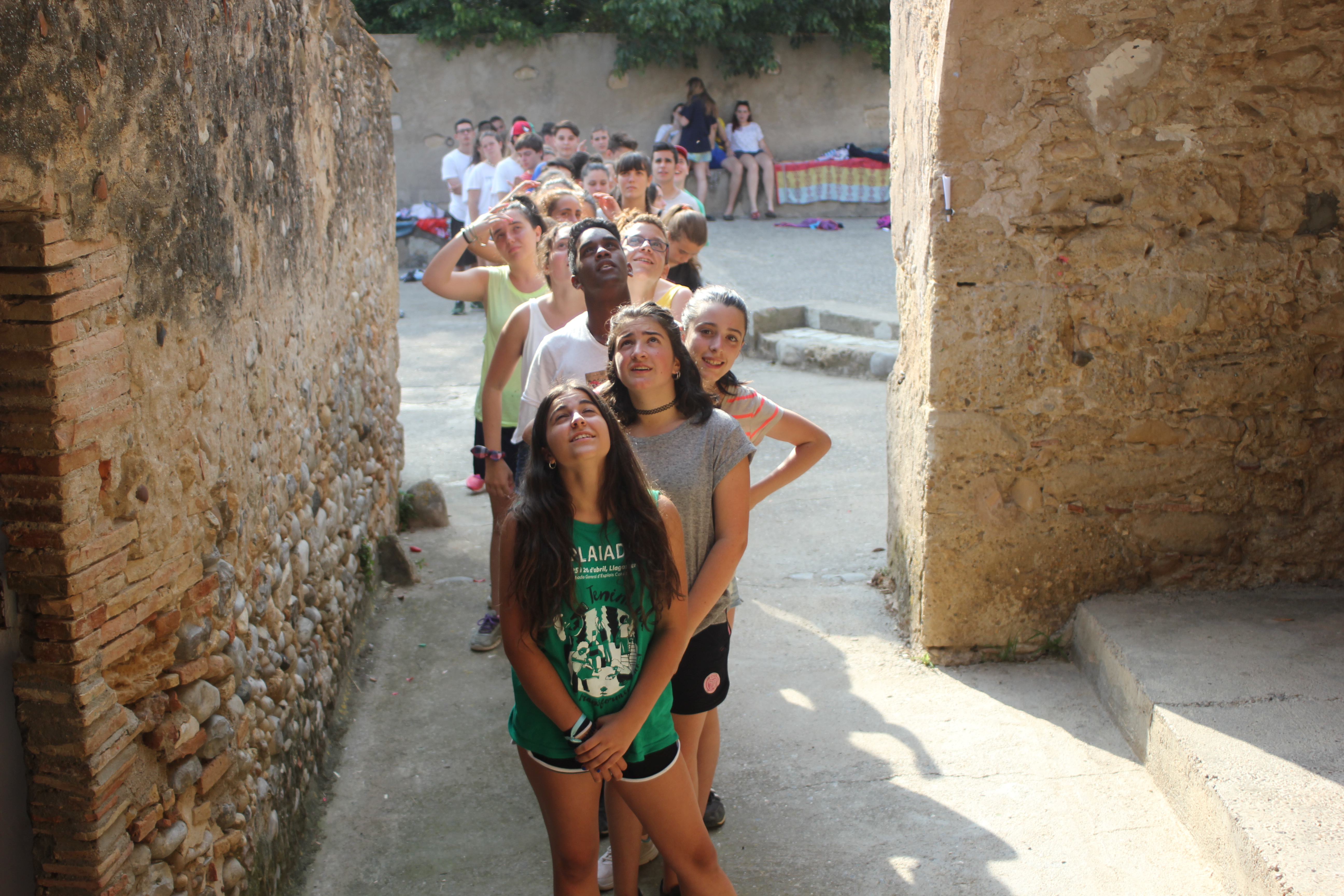 Grans colònies 2017